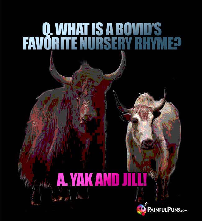 Q. What is a bovid's favorite mursery rhyme? A. Yak And Jill1
