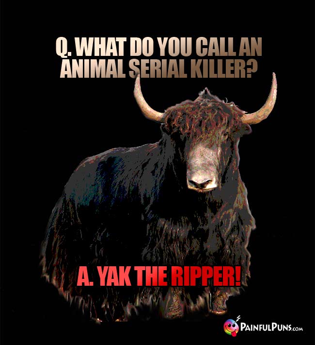 Q. What do you call an animal serial killer? A. Yak The Ripper!