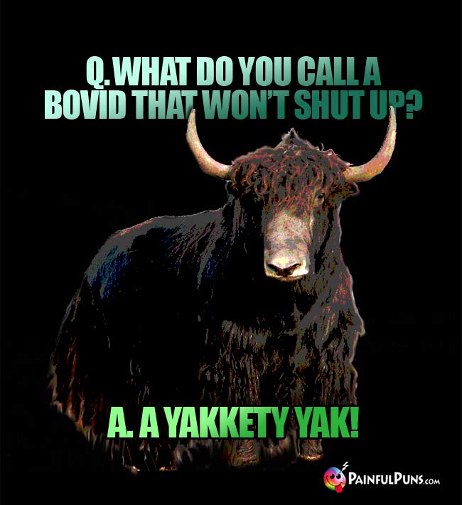Q What do you call a bovid that won't shut up? A. A Yakkety Yak!