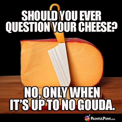 Should you ever question your cheese? No, only when it's up to no Gouda.